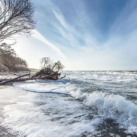 5-sterne-ferienwohnung Ostseeglueck Inklusive Strandkorb Von Mai-september Apartamento Zingst