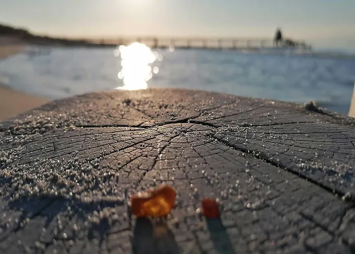 Apartman Ostseeglueck Inklusive Strandkorb Von April-oktober Zingst